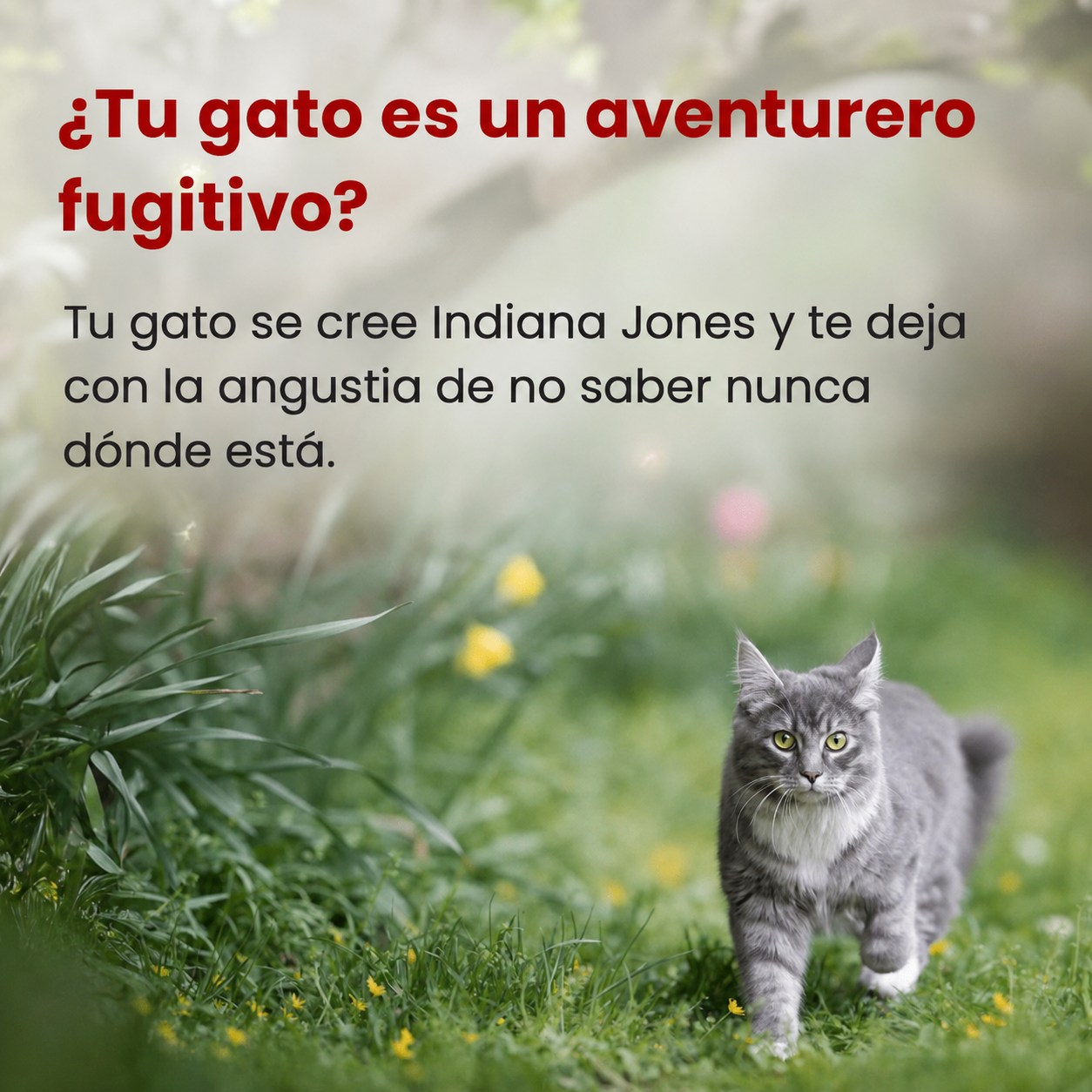 GPS para animales con tecnología Apple Find My y Android Encontrar mi dispositivo