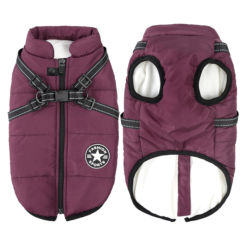 Detalle del ajuste perfecto y comodidad de la chaqueta de invierno para perros