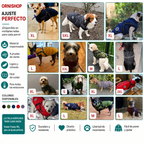 Perro activo jugando al aire libre con su chaqueta impermeable y cortavientos