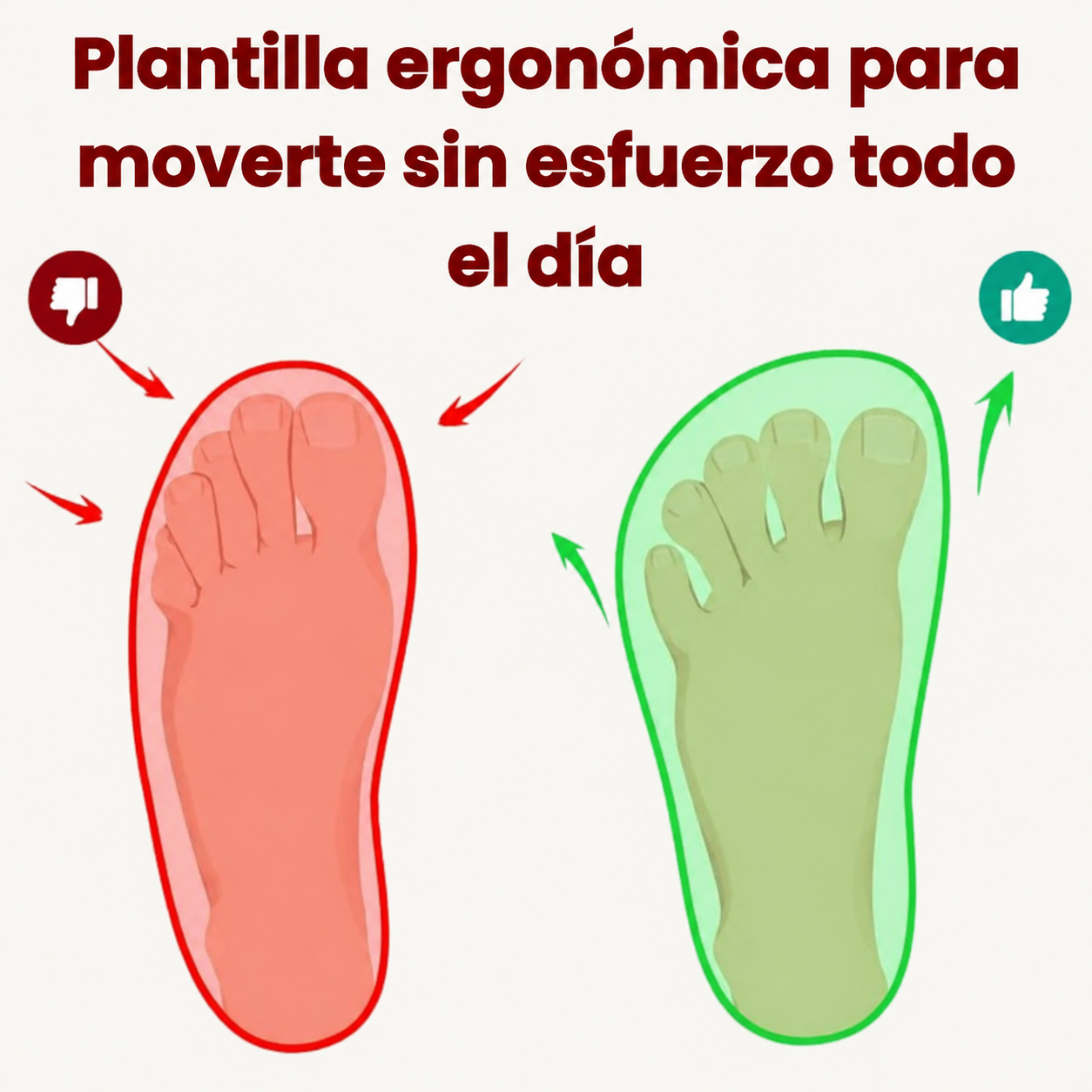 Calzado biomecánico Orthofit con construcción sin costuras para evitar irritación.