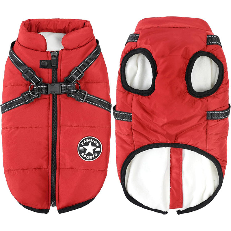 Perro llevando chaqueta impermeable y cortavientos con protección completa del cuerpo