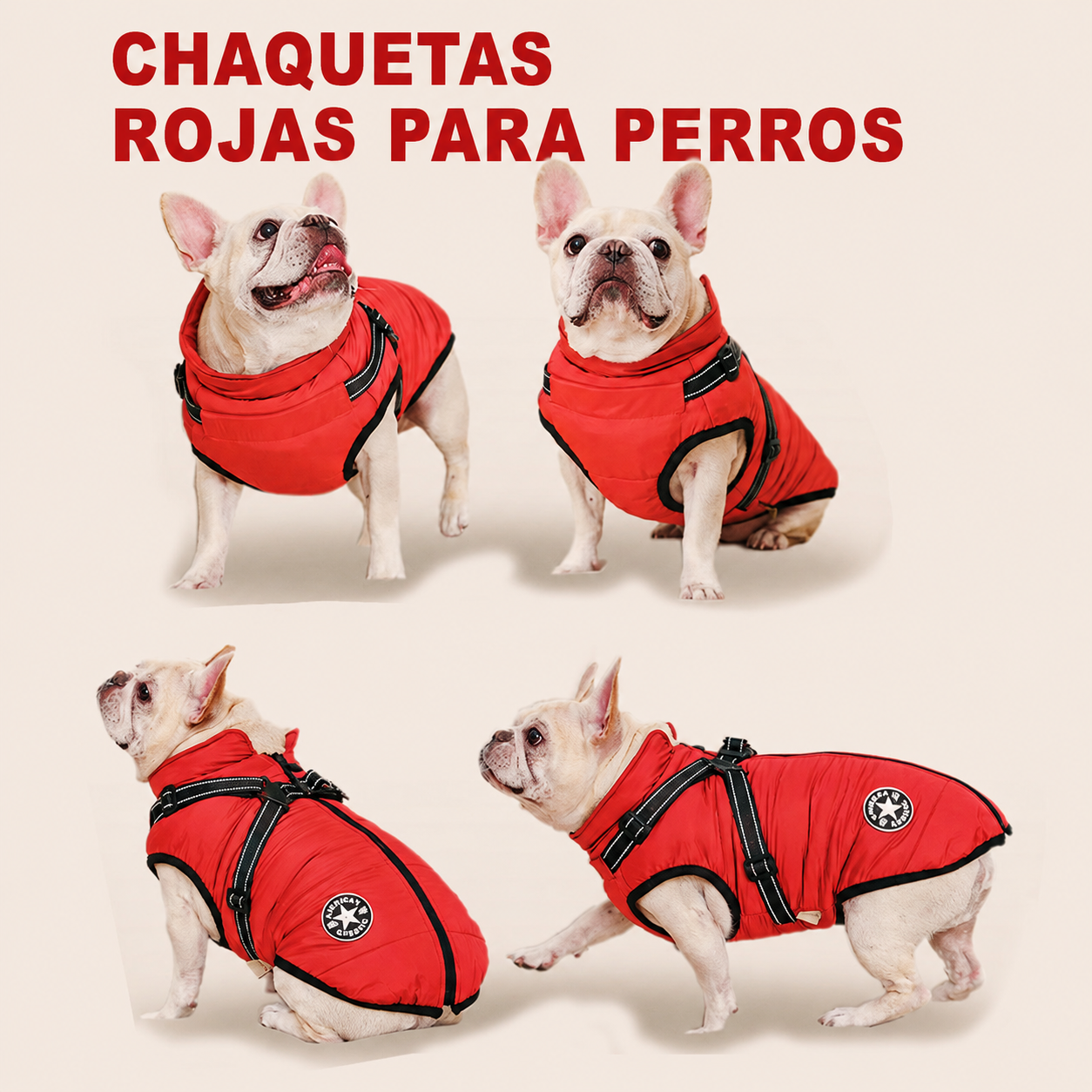 Detalle de la cremallera de alta calidad resistente al agua y al viento de la chaqueta para perros