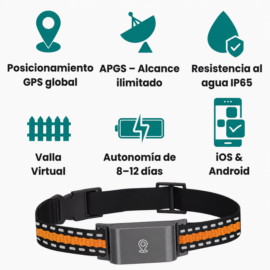 Aplicación móvil gratuita del localizador GPS mostrando rastreo en tiempo real y zona de seguridad virtual.