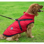 Perro disfrutando del aire libre con su chaqueta de invierno cálida y cómoda