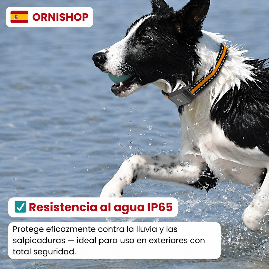 Especificaciones técnicas del collar GPS: batería 500 mAh, precisión 2-3 metros, compatible iOS y Android