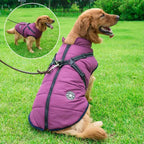 Chaqueta elegante para perros con materiales de alta calidad y libertad de movimiento