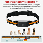 Localizador GPS para Mascotas – Sin Cuotas Mensuales y Alcance Global