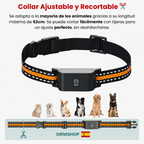 Localizador GPS completo para mascotas con collar, cable de carga USB y manual de instrucciones incluidos.