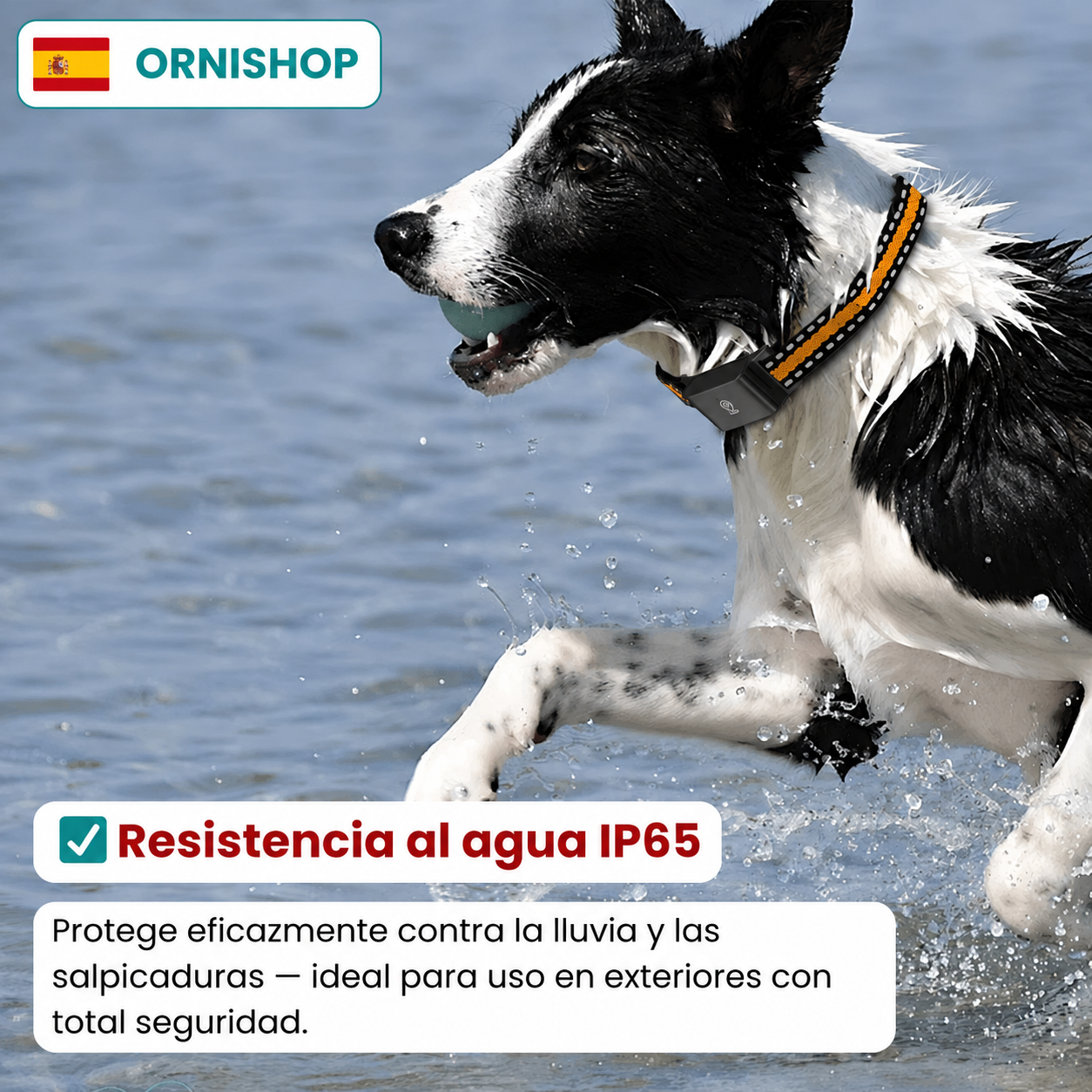 Sistema de localización GPS para mascotas sin suscripciones, con alcance global y batería de larga duración.