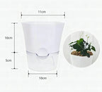Maceta con depósito de agua – Maceta autorregante para plantas de interior