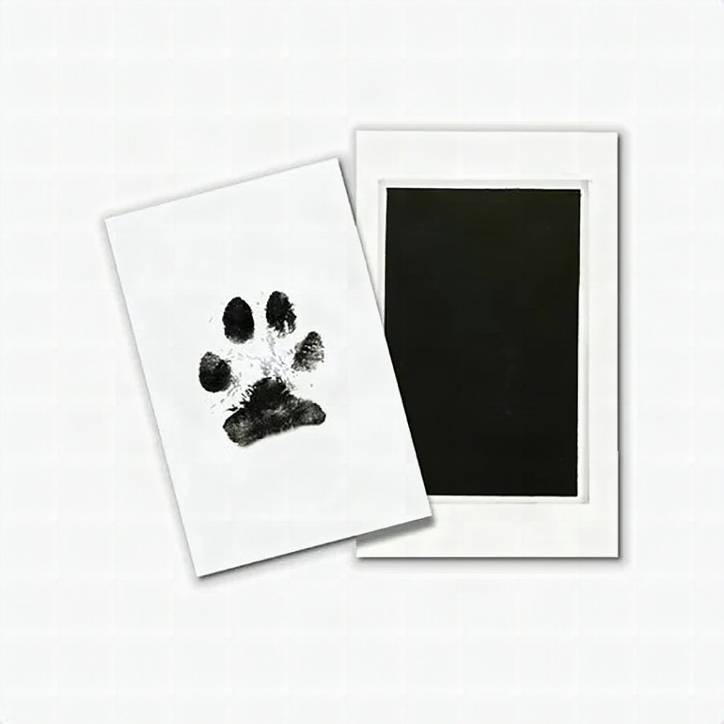 Kit de huellas de mascota