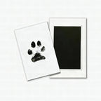 Kit de huellas de mascota