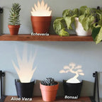 Maceta con proyección de luz y 7 siluetas de plantas para decoración de pared