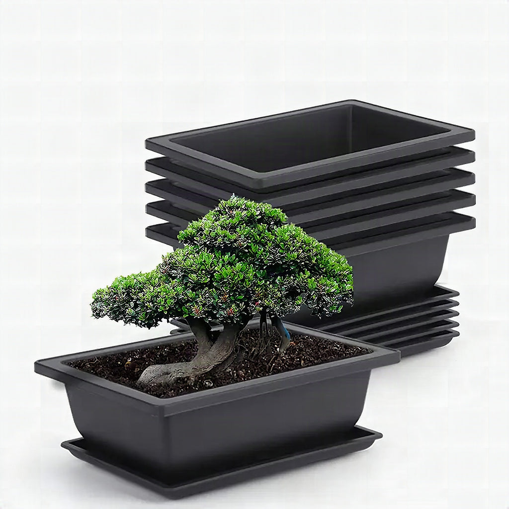Maceta rectangular con plato para jardín y balcón