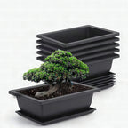 Maceta rectangular con plato para jardín y balcón