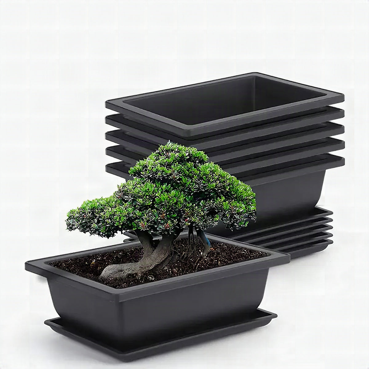 Maceta rectangular con plato para jardín y balcón