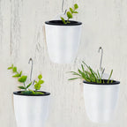 Maceta colgante de pared con autorriego – Sistema de riego automático para plantas