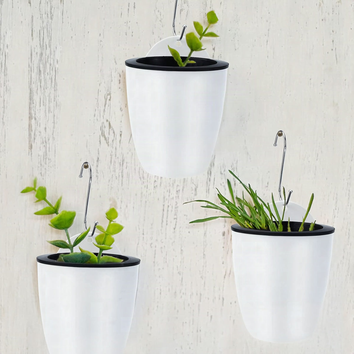 Maceta colgante de pared con autorriego – Sistema de riego automático para plantas