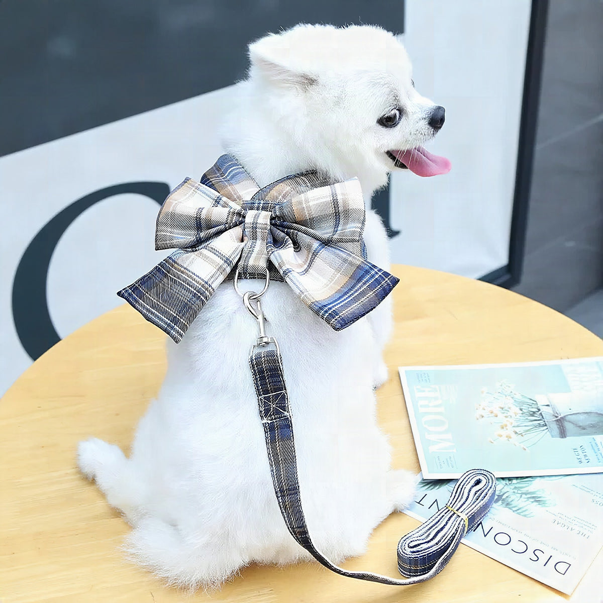 Arnés Aurélien con lazo decorativo para perro