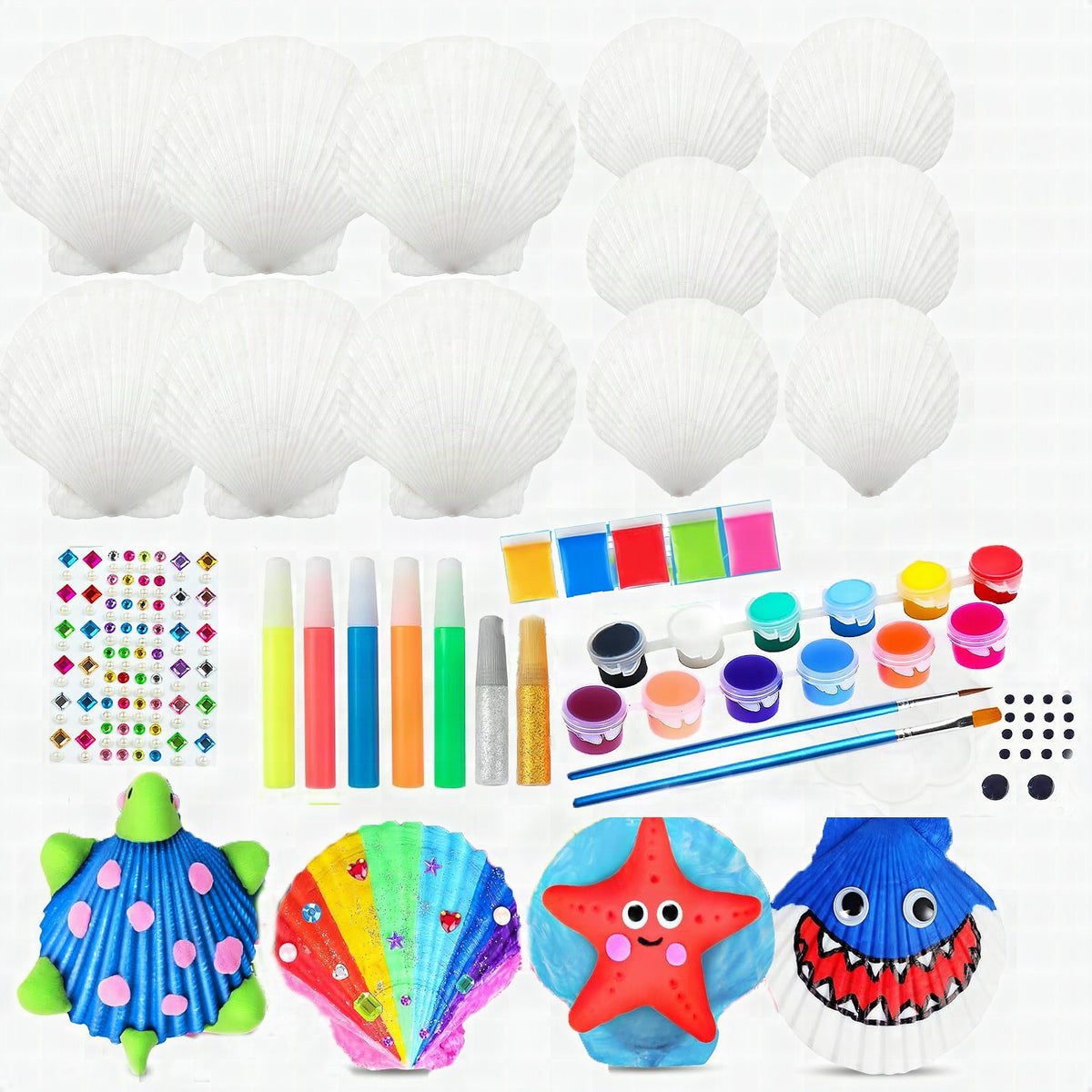Set creativo unisex de conchas y colores