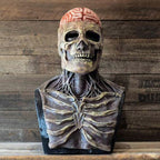 Máscara de esqueleto de látex con cerebro visible para Halloween, 48 × 38 × 38 cm