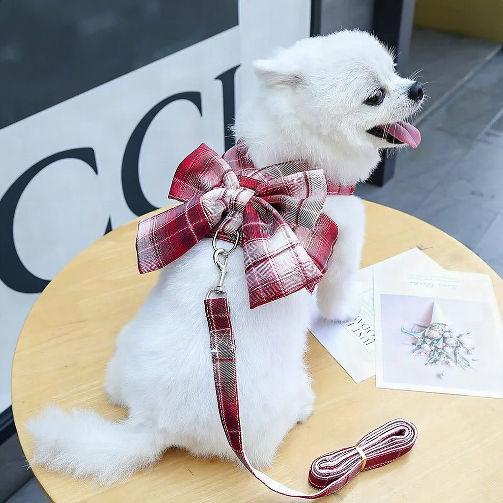 Arnés ajustable para perro AURÉLIEN con lazo decorativo