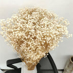 Ramo de flores secas de gypsophila preservada – Decoración natural