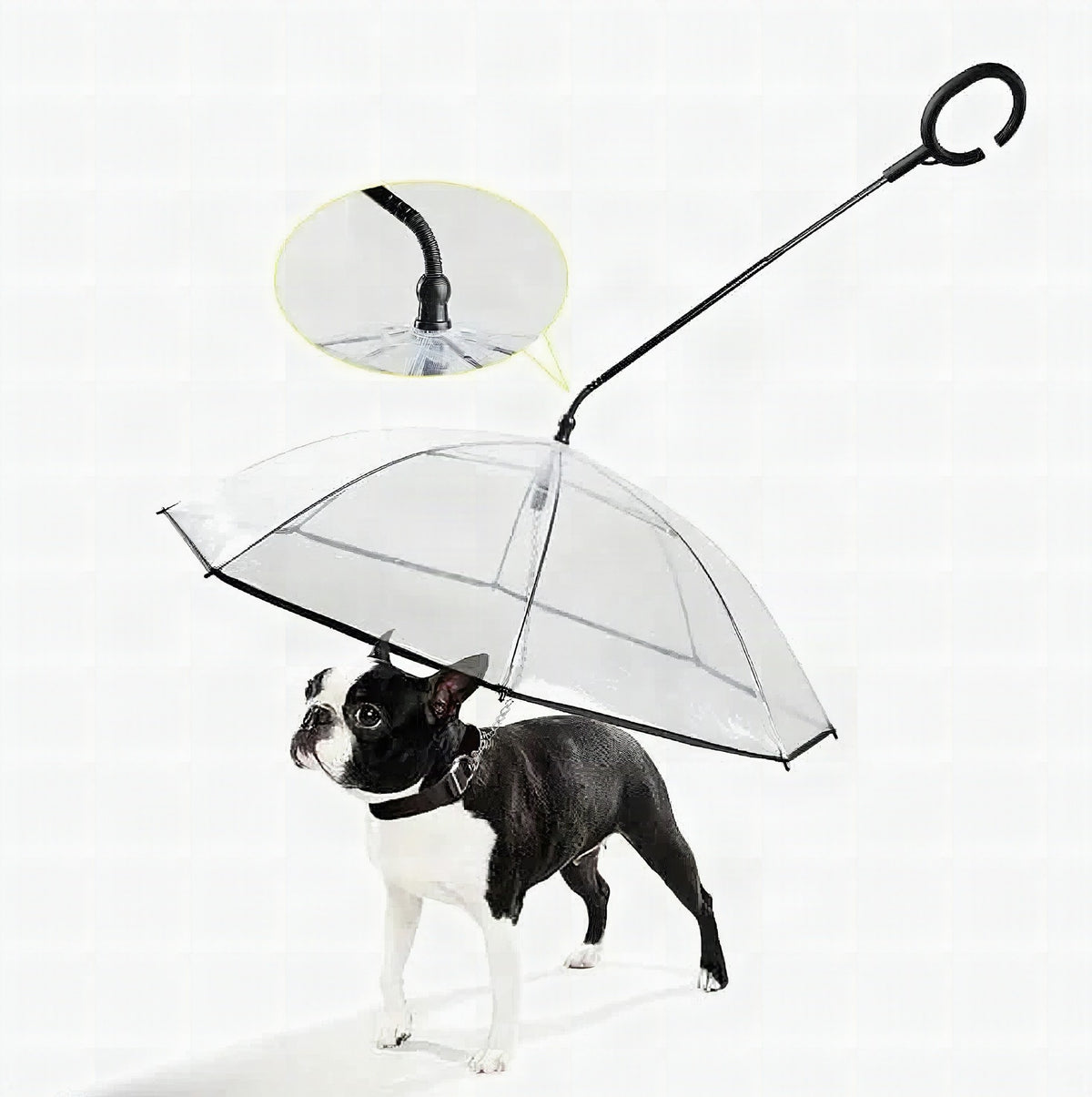 Paraguas transparente para perros