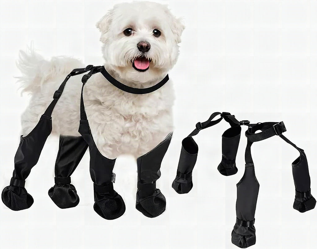 Botas ajustables para perro