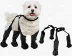 Botas ajustables para perro