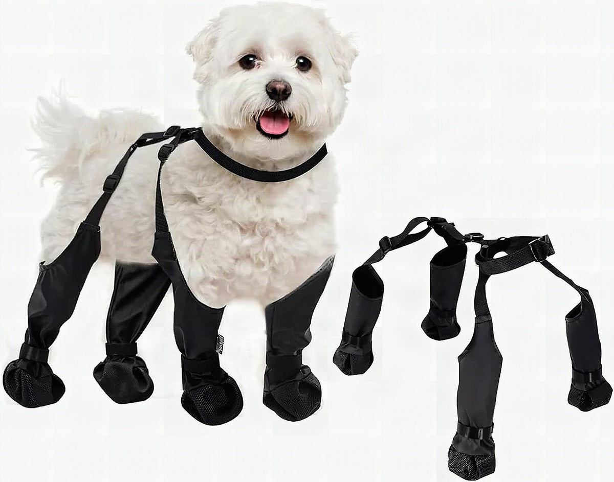 Botas ajustables para perro
