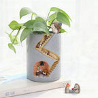Maceta decorativa con escalera y miniaturas de erizo y conejo para plantas