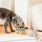 Comedero elevado de lujo para perros y gatos