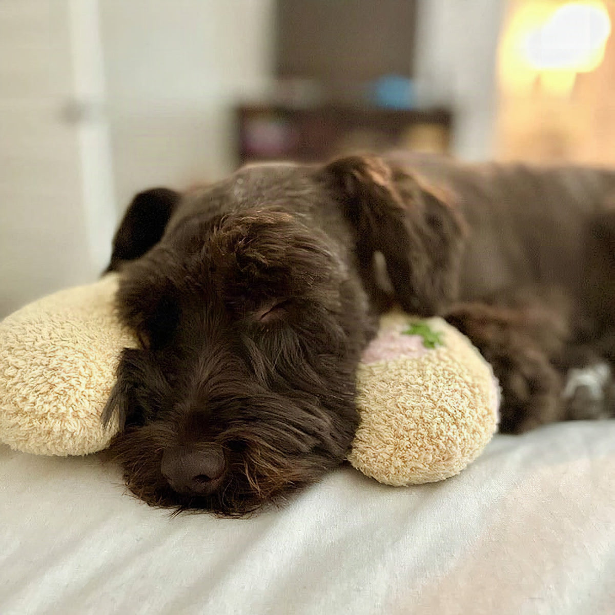 Cojín confortable para perros CalmNest