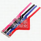 Pañuelo bandana collar para mascotas
