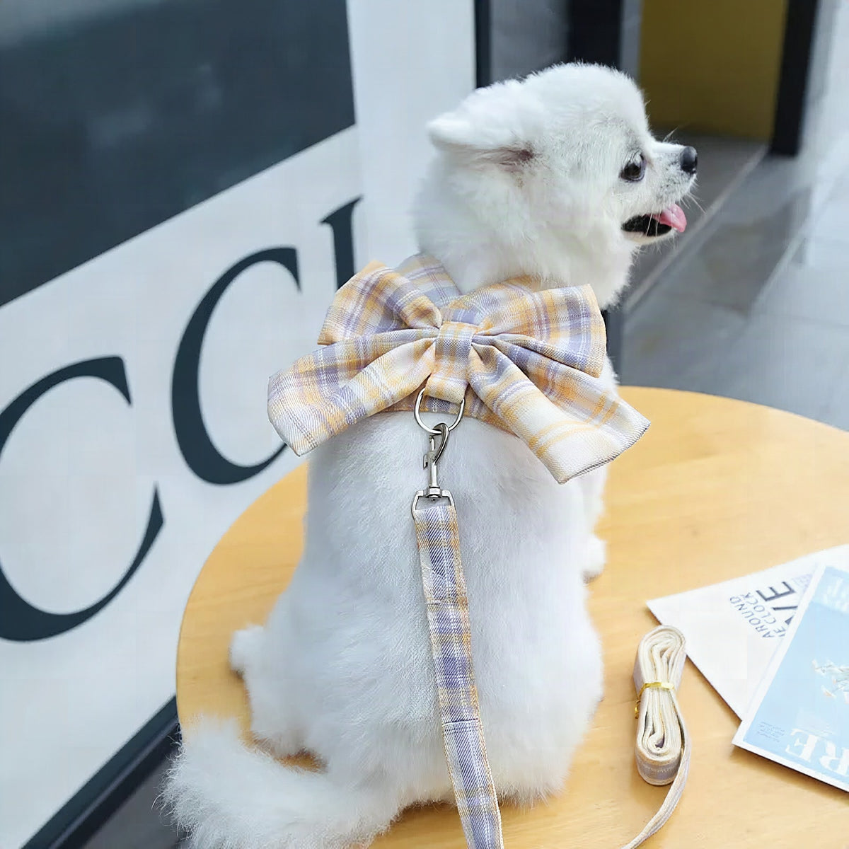Arnés Aurélien con lazo decorativo para perro