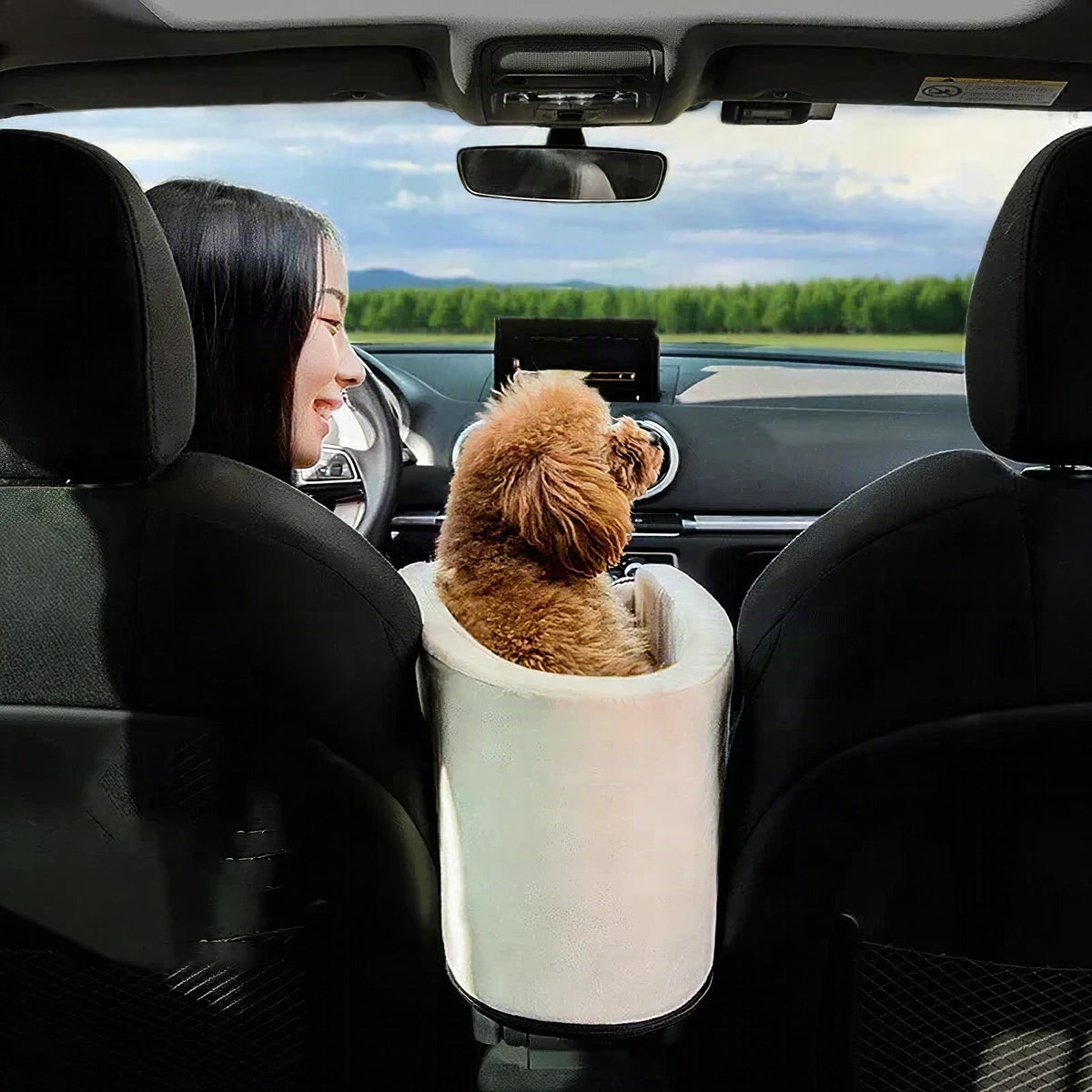 Cama de viaje portátil para perros pequeños