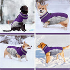 Chaqueta arnés de invierno SafeWalk – Impermeable con reflectantes y forro polar para perros