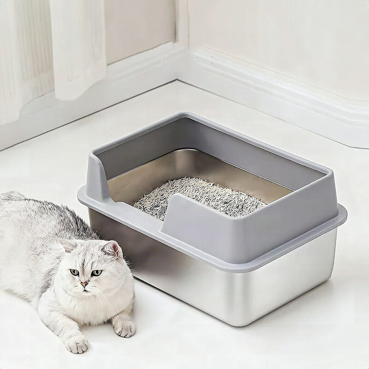 Bandeja de arena para gatos de acero inoxidable con paredes altas