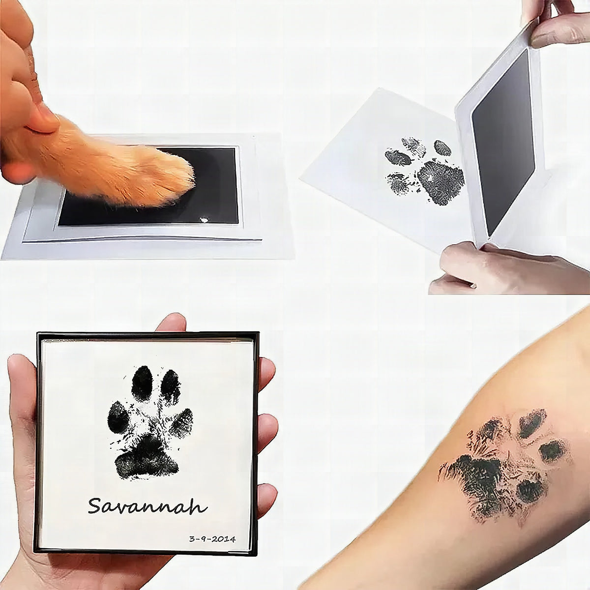 Kit de huellas de mascota