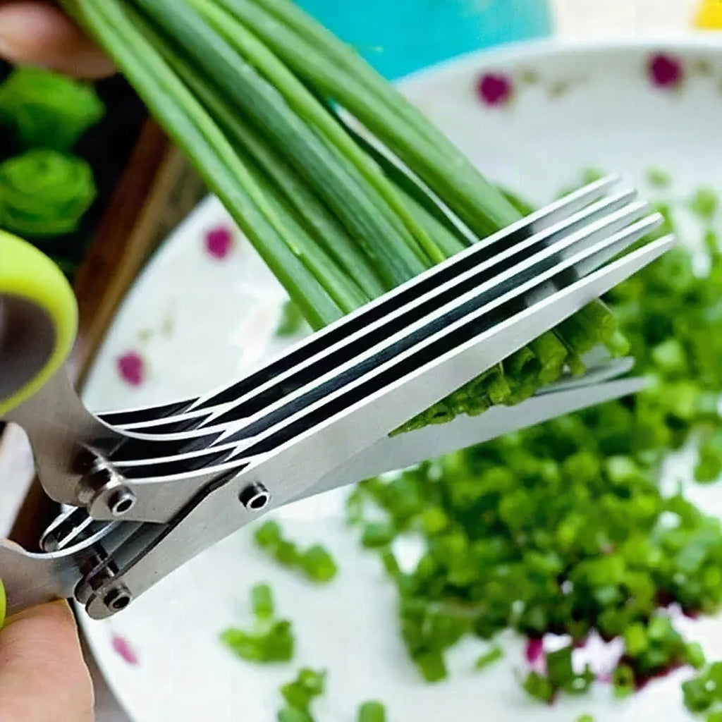 Tijeras de cocina con 5 hojas para hierbas aromáticas