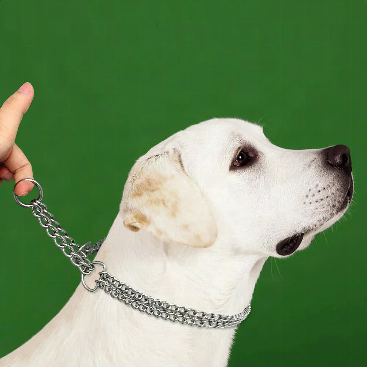 Cadena de adiestramiento de acero inoxidable para perros grandes