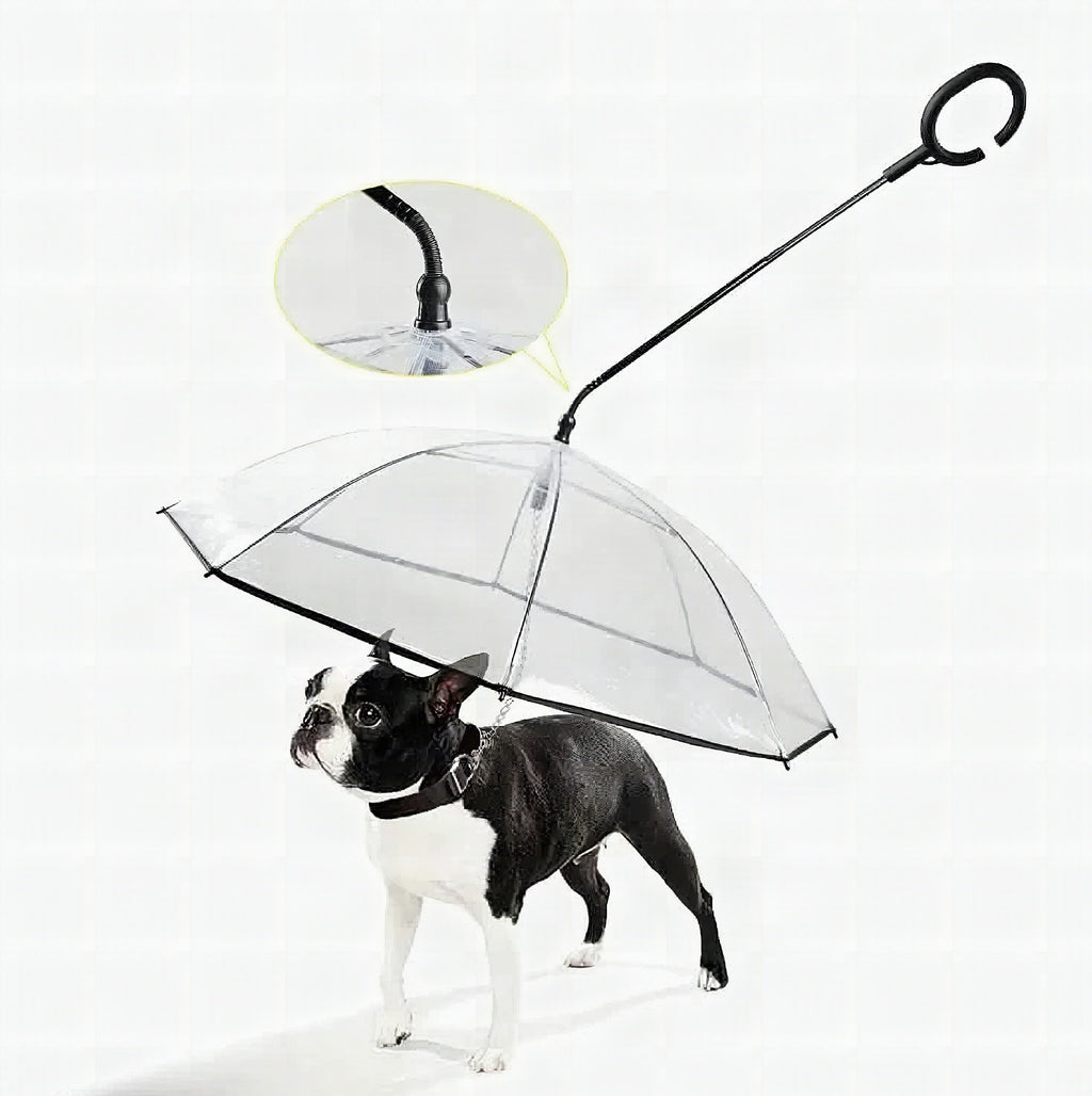 Paraguas transparente para perros