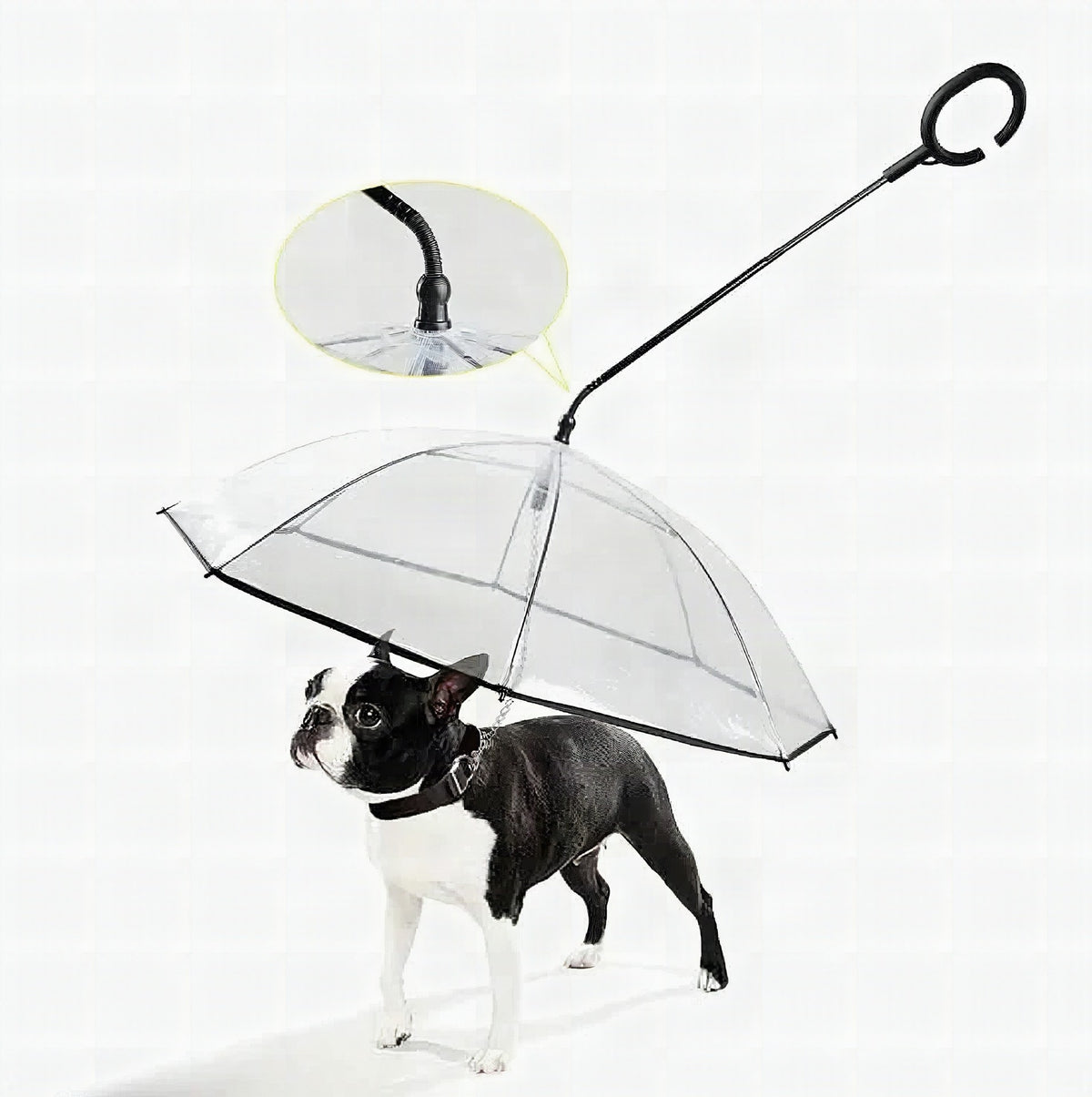 Paraguas transparente para perros