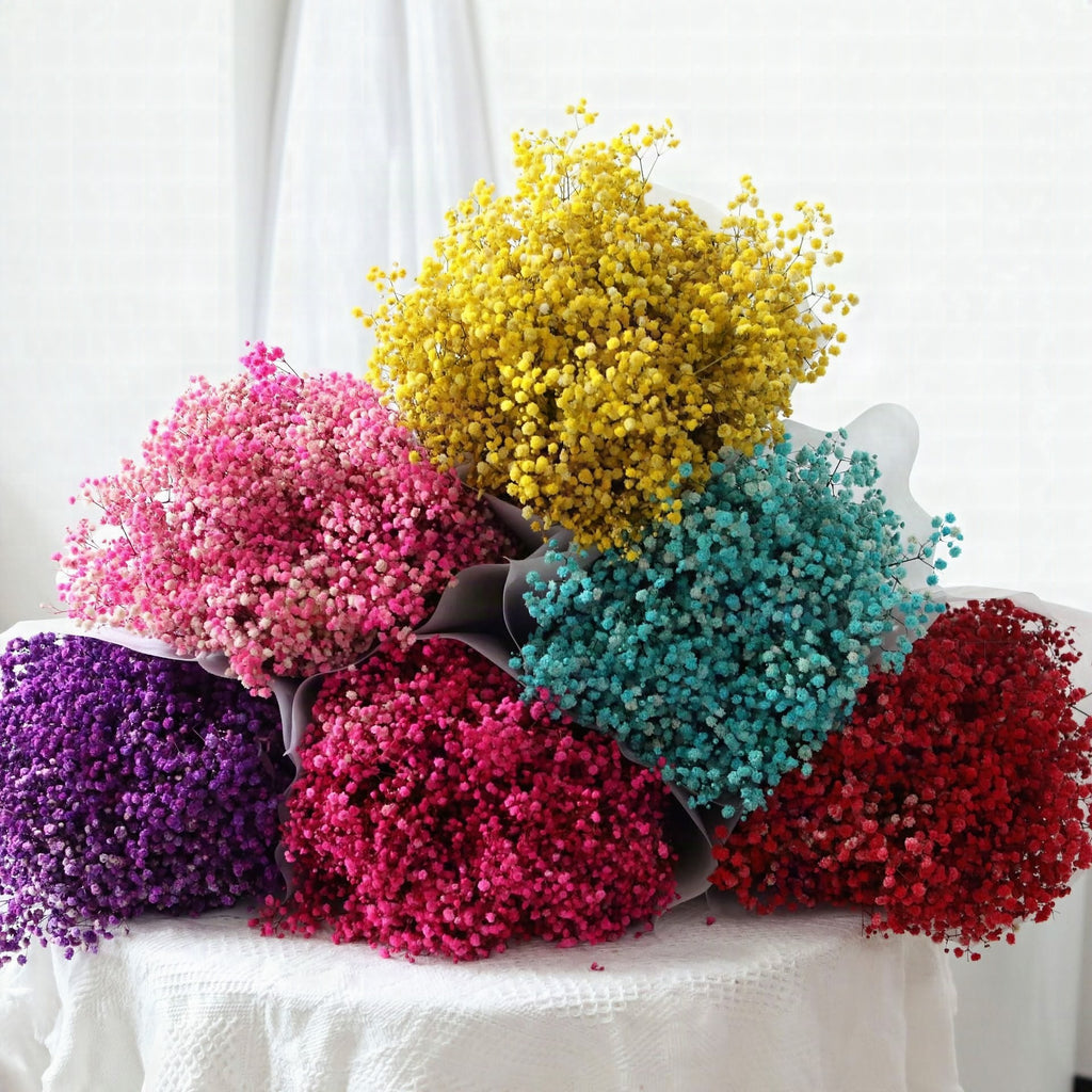 Ramo de flores secas de gypsophila preservada – Decoración natural