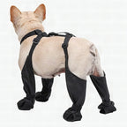 Botas ajustables para perro