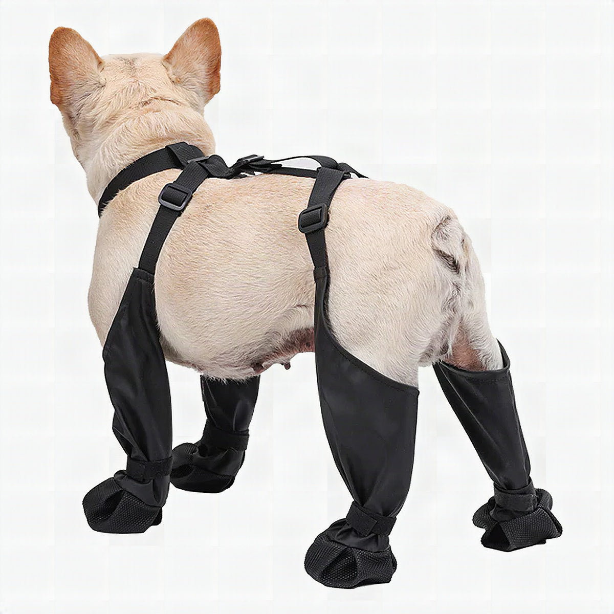 Botas ajustables para perro