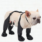 Botas impermeables para perro — Protección para nieve, senderismo y actividades al aire libre