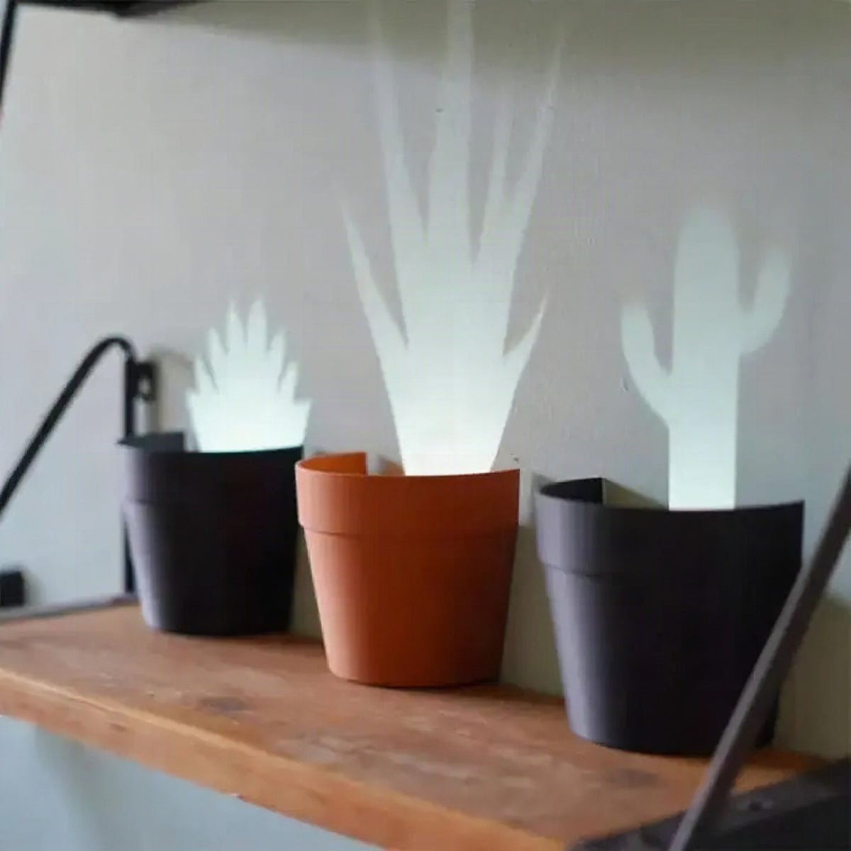 Maceta con proyección de luz y 7 siluetas de plantas para decoración de pared