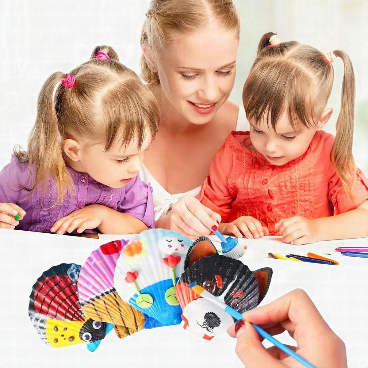 Set creativo unisex de conchas y colores